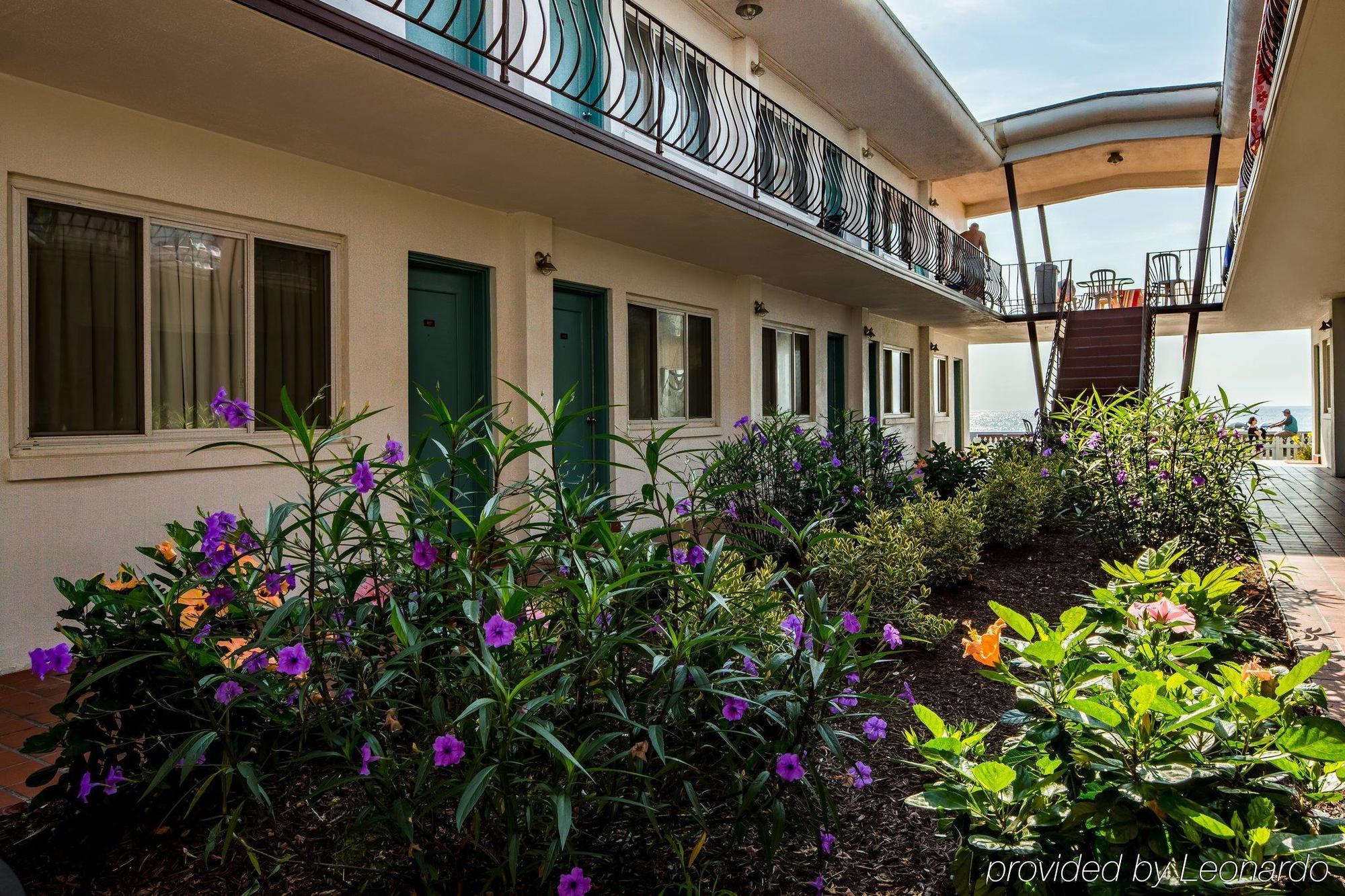 Beach Plaza Hotel Ocean City Zewnętrze zdjęcie